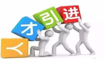 河北招生代理網 專業代理代辦服務助力教育項目發展