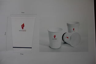 校園文化產品開發(fā)中的廣告策劃與設計賞析